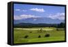 Germany, Bavaria, Upper Bavaria, Pfaffenwinkel, Uffing at Lake Staffelsee-Udo Siebig-Framed Stretched Canvas