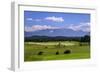 Germany, Bavaria, Upper Bavaria, Pfaffenwinkel, Uffing at Lake Staffelsee-Udo Siebig-Framed Photographic Print