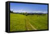 Germany, Bavaria, Upper Bavaria, Tšlzer Land (Area), MŸnsing-Udo Siebig-Framed Stretched Canvas