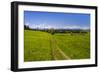 Germany, Bavaria, Upper Bavaria, Tšlzer Land (Area), MŸnsing-Udo Siebig-Framed Photographic Print