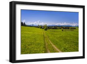 Germany, Bavaria, Upper Bavaria, Tšlzer Land (Area), MŸnsing-Udo Siebig-Framed Photographic Print