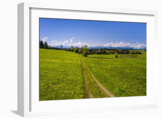 Germany, Bavaria, Upper Bavaria, Tšlzer Land (Area), MŸnsing-Udo Siebig-Framed Photographic Print