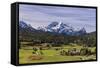 Germany, Bavaria, Upper Bavaria, Werdenfelser Land, Alpenwelt Karwendel-Udo Siebig-Framed Stretched Canvas