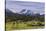 Germany, Bavaria, Upper Bavaria, Werdenfelser Land, Alpenwelt Karwendel-Udo Siebig-Stretched Canvas