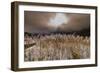 Germany, Bavaria, Upper Bavaria, Werdenfelser Land (Region), Alpenwelt Karwendel (Mountain Region-Udo Siebig-Framed Photographic Print