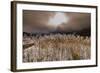 Germany, Bavaria, Upper Bavaria, Werdenfelser Land (Region), Alpenwelt Karwendel (Mountain Region-Udo Siebig-Framed Photographic Print