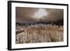 Germany, Bavaria, Upper Bavaria, Werdenfelser Land (Region), Alpenwelt Karwendel (Mountain Region-Udo Siebig-Framed Photographic Print