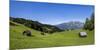 Germany, Bavaria, Upper Bavaria, Werdenfelser Land (Region), Wettersteingebirge (Mountains-Udo Siebig-Mounted Photographic Print