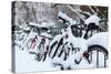 Germany, Berlin, Bicycles, Snowy-Catharina Lux-Stretched Canvas