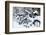 Germany, Berlin, Bicycles, Snowy-Catharina Lux-Framed Photographic Print