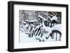 Germany, Berlin, Bicycles, Snowy-Catharina Lux-Framed Photographic Print