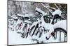 Germany, Berlin, Bicycles, Snowy-Catharina Lux-Mounted Photographic Print