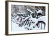 Germany, Berlin, Bicycles, Snowy-Catharina Lux-Framed Photographic Print