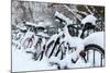 Germany, Berlin, Bicycles, Snowy-Catharina Lux-Mounted Photographic Print