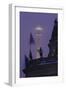 Germany, Berlin, Bodemuseum and Television Tower, Dusk-Andreas Keil-Framed Photographic Print