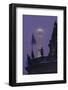 Germany, Berlin, Bodemuseum and Television Tower, Dusk-Andreas Keil-Framed Photographic Print