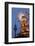 Germany, Berlin, Dusk, Alexanderplatz, Christmas Market, Pyramid, Television Tower-Catharina Lux-Framed Photographic Print