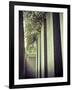 Germany, Berlin, Jewish Museum, Holocaust Memorial-Michele Falzone-Framed Photographic Print