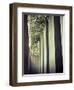 Germany, Berlin, Jewish Museum, Holocaust Memorial-Michele Falzone-Framed Photographic Print