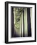 Germany, Berlin, Jewish Museum, Holocaust Memorial-Michele Falzone-Framed Photographic Print