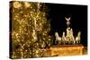 Germany, Berlin, the Brandenburg Gate, Christmas Tree, Night-Catharina Lux-Stretched Canvas