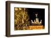 Germany, Berlin, the Brandenburg Gate, Christmas Tree, Night-Catharina Lux-Framed Premium Photographic Print