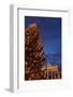 Germany, Berlin, the Brandenburg Gate, Night, Christmas Tree-Catharina Lux-Framed Photographic Print