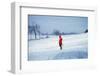 Germany - Bielefeld - 1960's Child Plays in Snow-Richard Baker-Framed Photographic Print