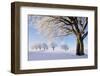 Germany, Black Forest-Herbert Kehrer-Framed Photographic Print