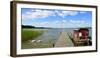 Germany, Brandenburg, Himmelpfort, Stolpsee, Jetty, Raft, Swans-Andreas Vitting-Framed Photographic Print