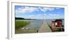 Germany, Brandenburg, Himmelpfort, Stolpsee, Jetty, Raft, Swans-Andreas Vitting-Framed Photographic Print