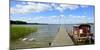 Germany, Brandenburg, Himmelpfort, Stolpsee, Jetty, Raft, Swans-Andreas Vitting-Mounted Photographic Print