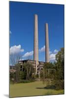 Germany, Brandenburg, Oder-Neisse Cycle Route, EisenhŸttenstadt, Former Power Station 'Vogelsang'-Catharina Lux-Mounted Photographic Print