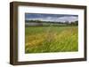 Germany, Brandenburg, Oder-Neisse Cycle Route, Lower Oder Valley National Park-Catharina Lux-Framed Photographic Print