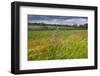 Germany, Brandenburg, Oder-Neisse Cycle Route, Lower Oder Valley National Park-Catharina Lux-Framed Photographic Print