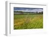 Germany, Brandenburg, Oder-Neisse Cycle Route, Lower Oder Valley National Park-Catharina Lux-Framed Photographic Print