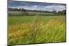 Germany, Brandenburg, Oder-Neisse Cycle Route, Lower Oder Valley National Park-Catharina Lux-Mounted Photographic Print