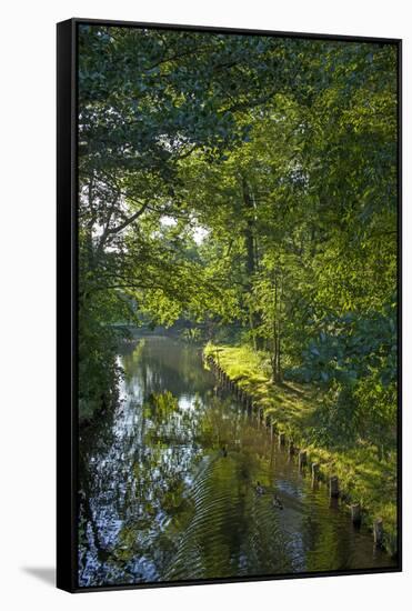 Germany, Brandenburg, Spreewald (Spree Forest), LŸbben, Canal, Sunrise-Chris Seba-Framed Stretched Canvas