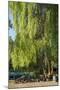 Germany, Brandenburg, Spreewald (Spree Forest), LŸbben, Harbour, Seats under Weeping Willow-Chris Seba-Mounted Photographic Print