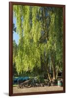 Germany, Brandenburg, Spreewald (Spree Forest), LŸbben, Harbour, Seats under Weeping Willow-Chris Seba-Framed Photographic Print