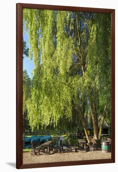 Germany, Brandenburg, Spreewald (Spree Forest), LŸbben, Harbour, Seats under Weeping Willow-Chris Seba-Framed Photographic Print