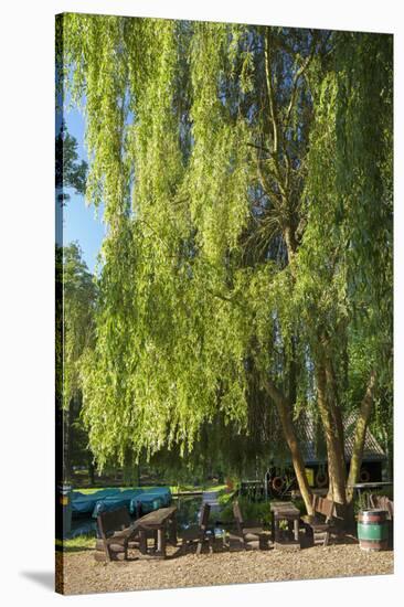 Germany, Brandenburg, Spreewald (Spree Forest), LŸbben, Harbour, Seats under Weeping Willow-Chris Seba-Stretched Canvas