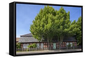 Germany, Brandenburg, Spreewald (Spree Forest), Schlepzig, Farm Museum-Chris Seba-Framed Stretched Canvas