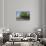 Germany, Brandenburg, Spreewald (Spree Forest), Schlepzig, Farm Museum-Chris Seba-Stretched Canvas displayed on a wall