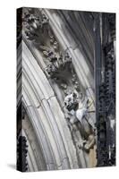 Germany, Cologne, Cologne Cathedral, Gargoyles-Samuel Magal-Stretched Canvas