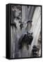 Germany, Cologne, Cologne Cathedral, Gargoyles-Samuel Magal-Framed Stretched Canvas