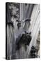 Germany, Cologne, Cologne Cathedral, Gargoyles-Samuel Magal-Stretched Canvas