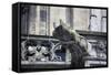 Germany, Cologne, Cologne Cathedral, Gargoyles-Samuel Magal-Framed Stretched Canvas