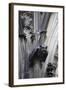 Germany, Cologne, Cologne Cathedral, Gargoyles-Samuel Magal-Framed Photographic Print