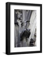 Germany, Cologne, Cologne Cathedral, Gargoyles-Samuel Magal-Framed Photographic Print